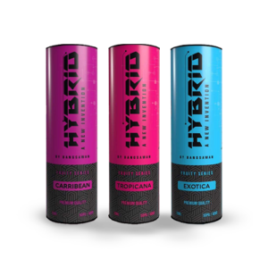 [HYBRID] Bangsawan HYBRID all line up